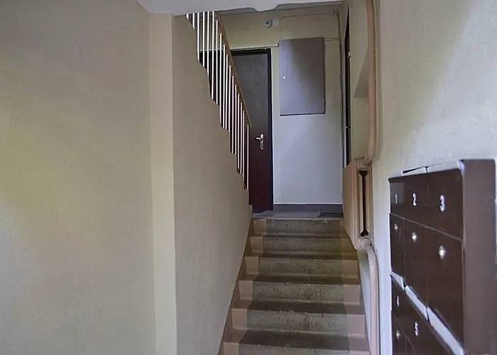 12 Koidu * Narva-Jõesuu